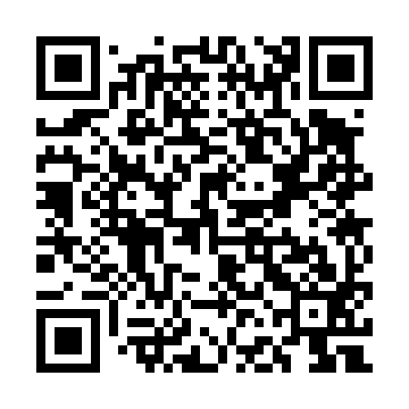 QR code for UFC493