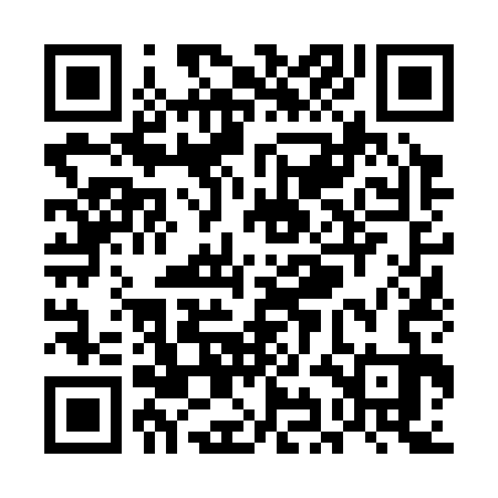QR code for UIN333