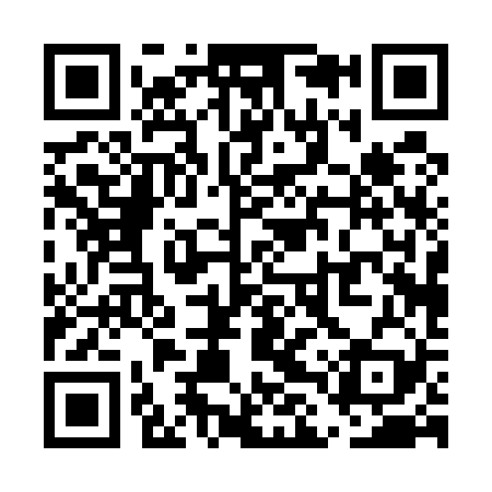QR code for ULP529