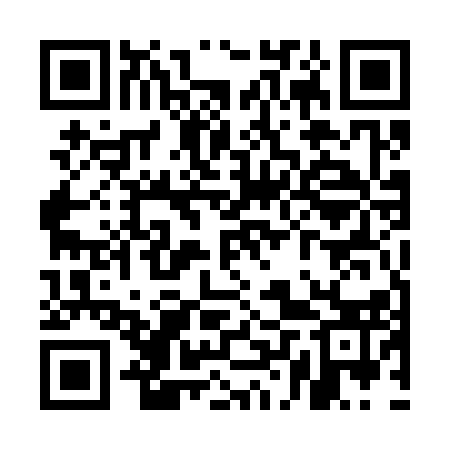 QR code for ULU313