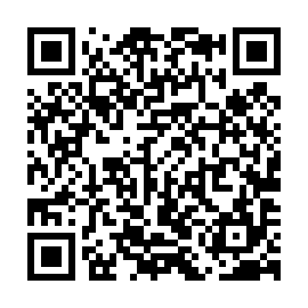 QR code for UML494