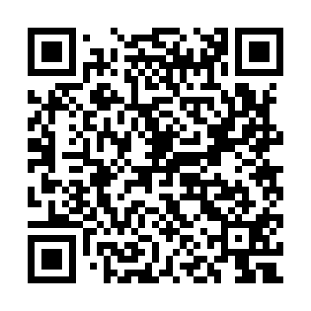QR code for UNR911