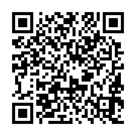 QR code for UPE393