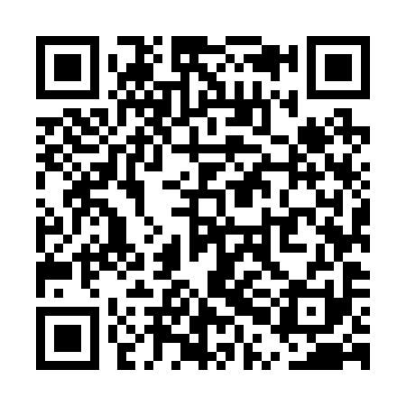 QR code for UPM291