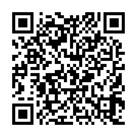 QR code for VAQ919
