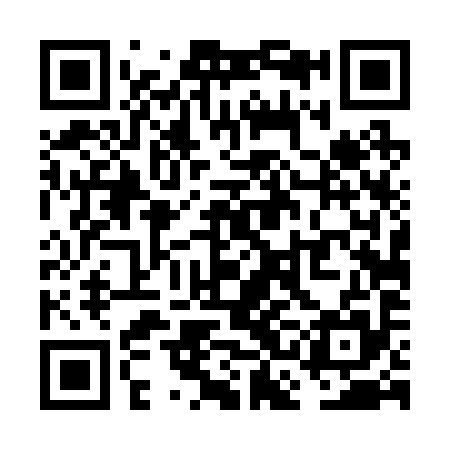 QR code for VCD295