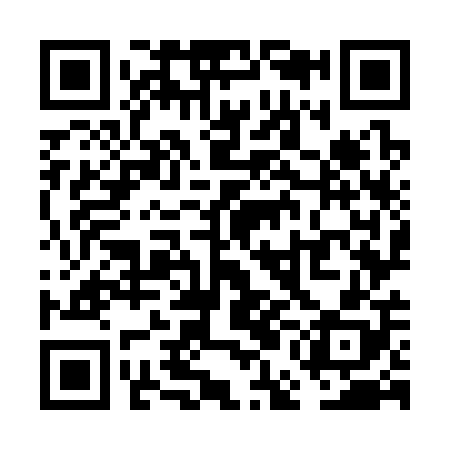 QR code for VEO308