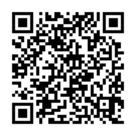 QR code for VEV383
