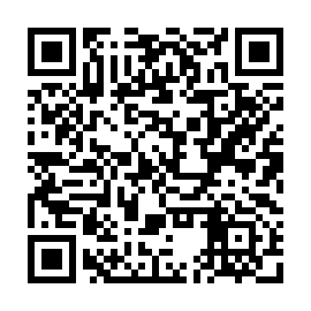 QR code for VEX393