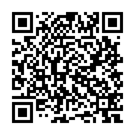 QR code for VFG119