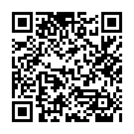 QR code for VFM411