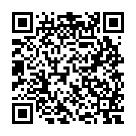 QR code for VFS381