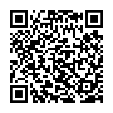 QR code for VFW699
