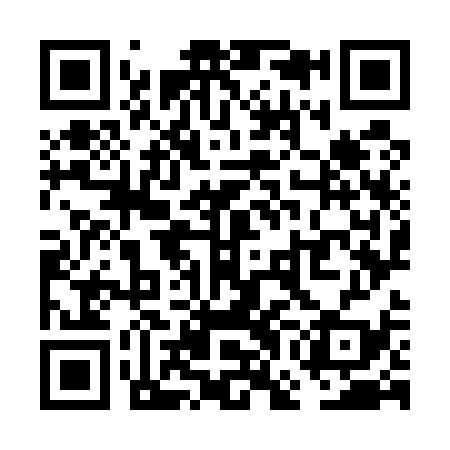 QR code for VGO539