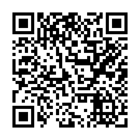 QR code for VGS335