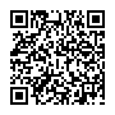 QR code for VIE916