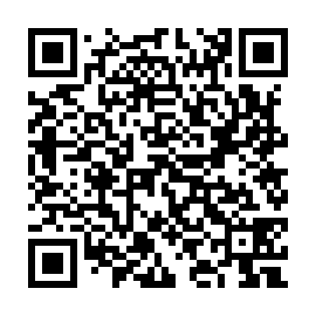 QR code for VIG938