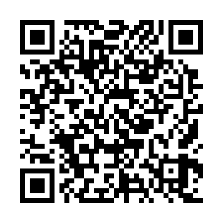 QR code for VII369