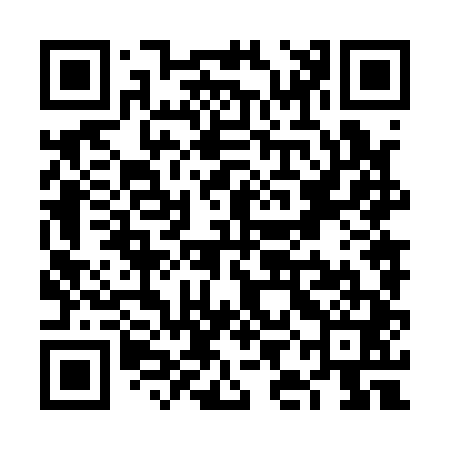 QR code for VIN141