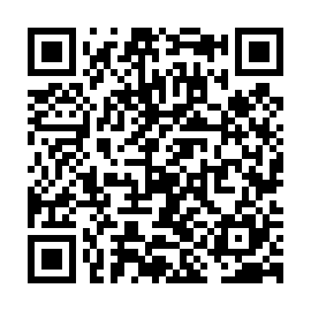 QR code for VIN425
