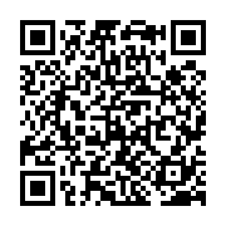 QR code for VIN530