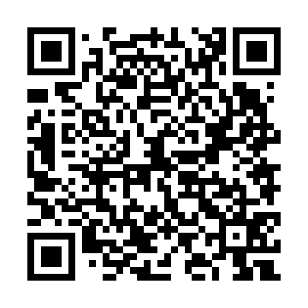 QR code for VIN675