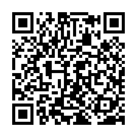 QR code for VIR029
