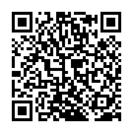 QR code for VIS029