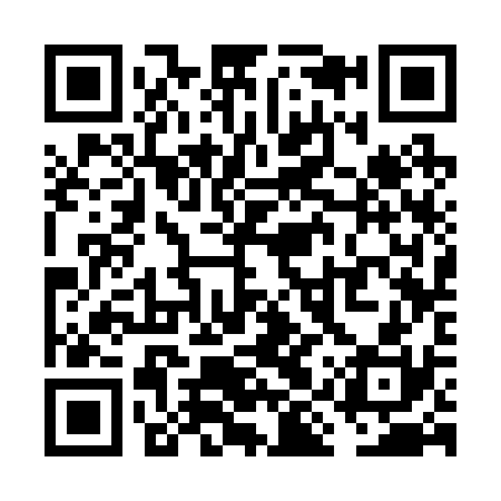 QR code for VIS230