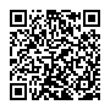 QR code for VIS297