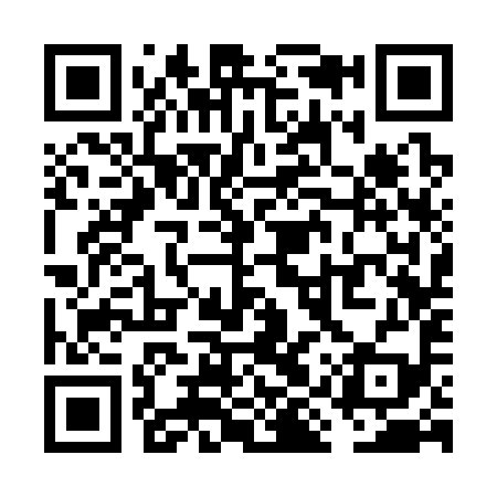 QR code for VIS399