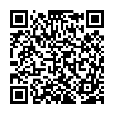 QR code for VIU463