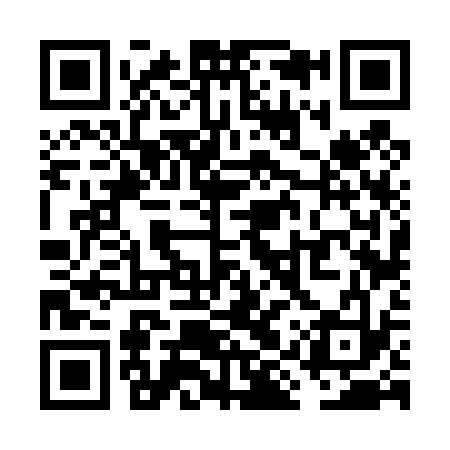 QR code for VIV433