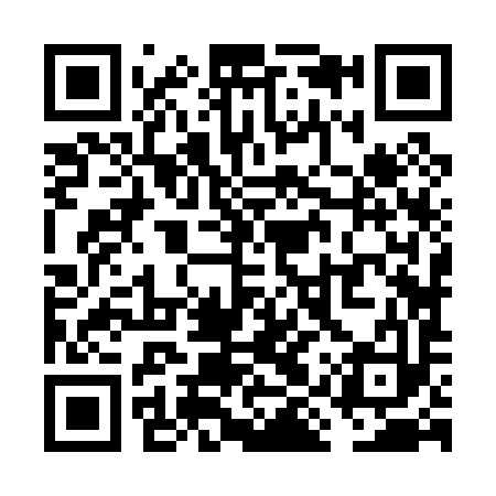 QR code for VIZ093