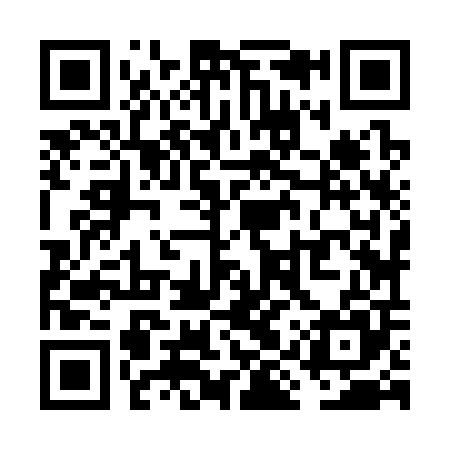 QR code for VIZ305