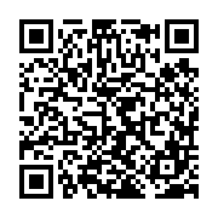 QR code for VIZ606