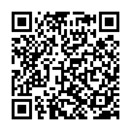 QR code for VJV501