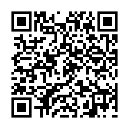 QR code for VKI388