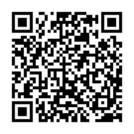 QR code for VLP393