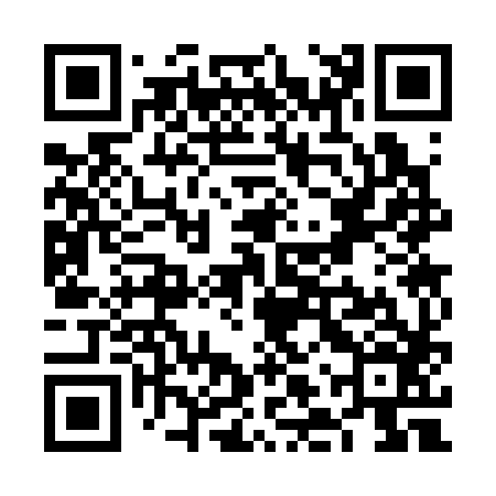QR code for VLS386