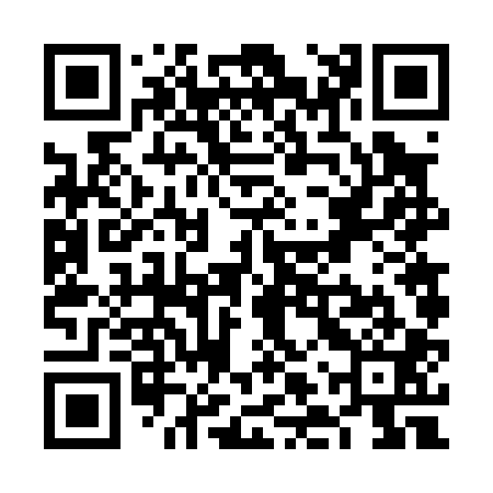 QR code for VLV001