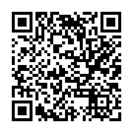 QR code for VMN383