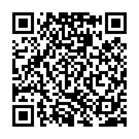 QR code for VNE411