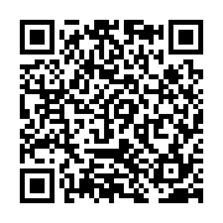 QR code for VNG334