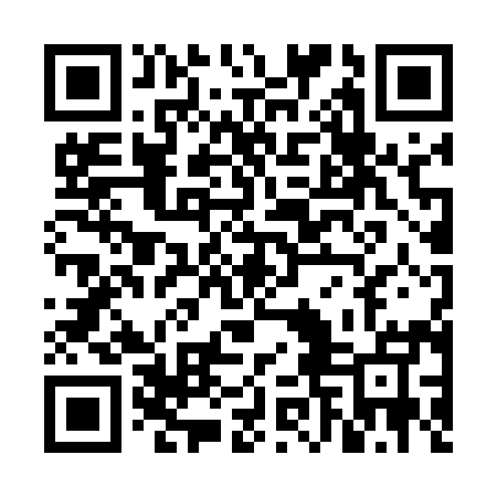 QR code for VNN595