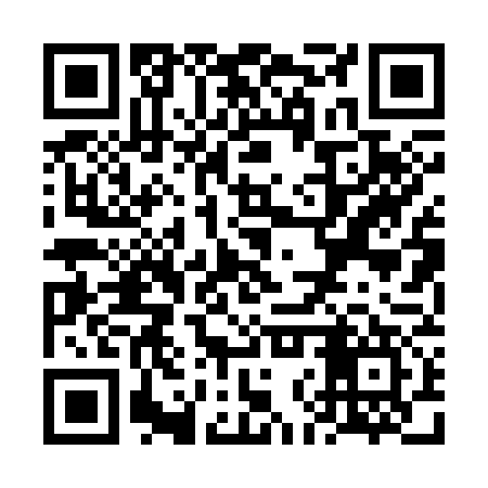 QR code for VNP377