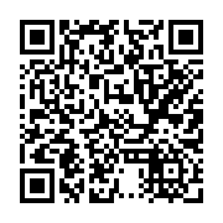 QR code for VPD397