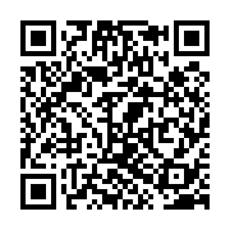 QR code for VPG538