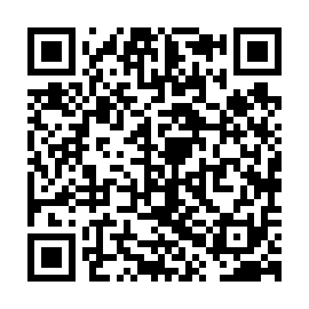 QR code for VPH611