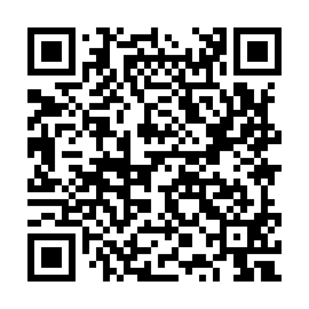 QR code for VPI991